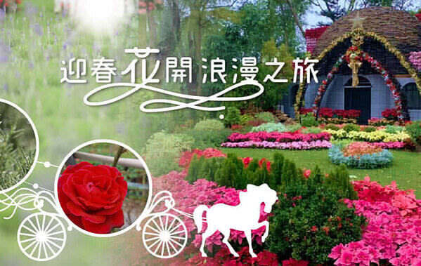 热门成功案例精选，粉丝专页按赞数提升一倍，粉丝专页交互人数增长二倍，点阅率稳定上升，CPC持续下降，且大量导入人流至官网。营造鲜明粉丝团小编角色，成功打造高粉丝黏着度。各服务据点来客数量明显提升，广告稳定带来线上订单数与部分线下购买数。