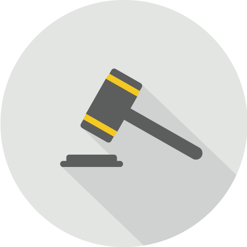 蓝眼科技 BlueEyes Technology