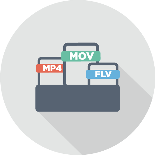 SES® One满足各平台要求的影片格式