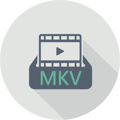 Snap支持录影格式