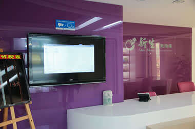 蓝眼科技识别标章